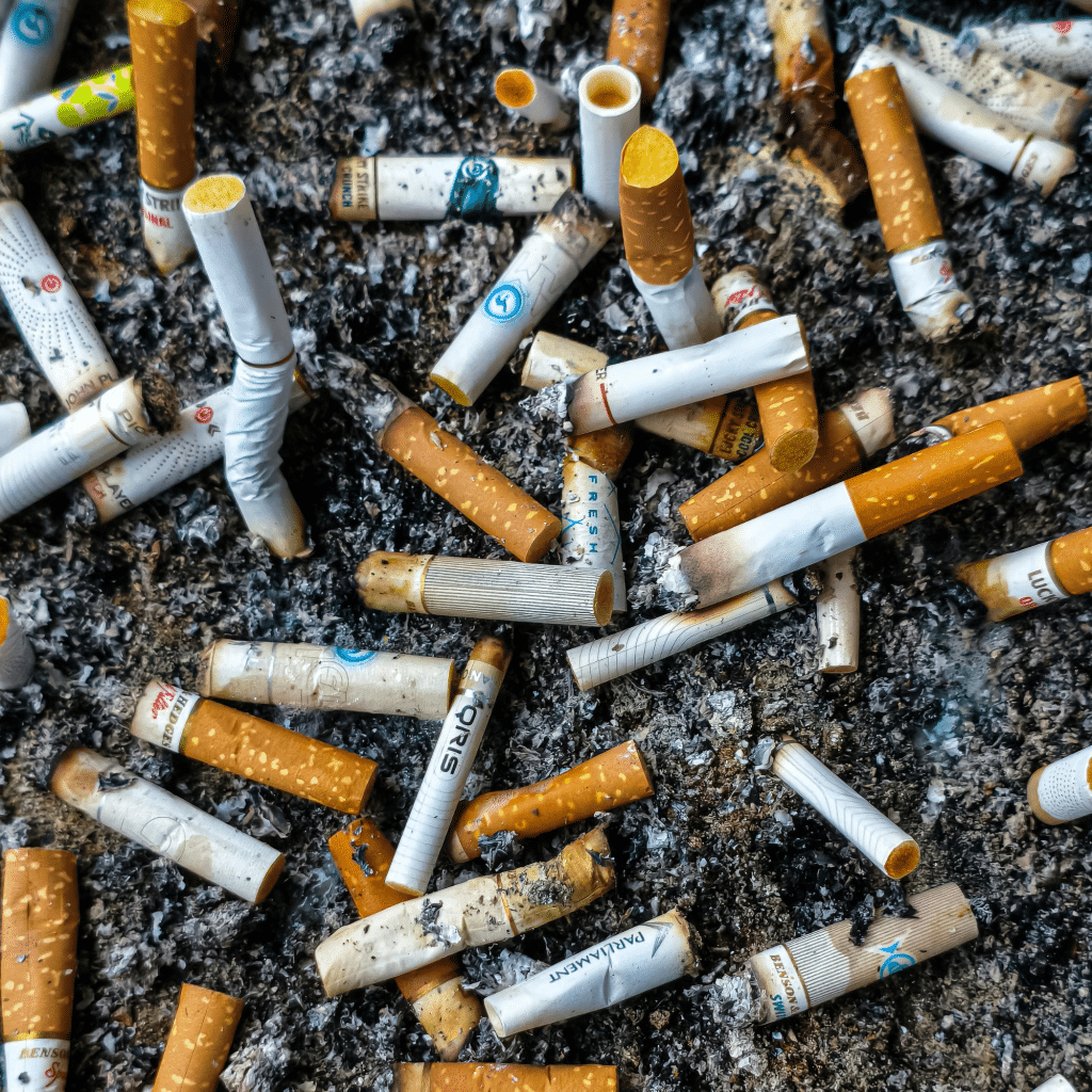 Association CLOPE Montpellier